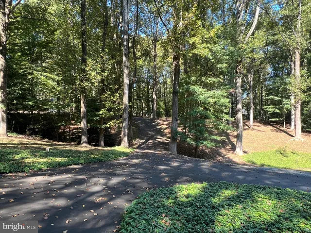 a view of a yard with plants and trees