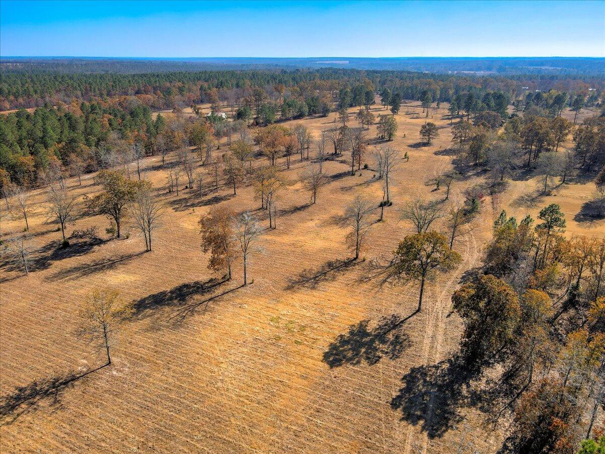 0 Bluffwood Road Wagener, SC 29164 - Photo 7 of 11