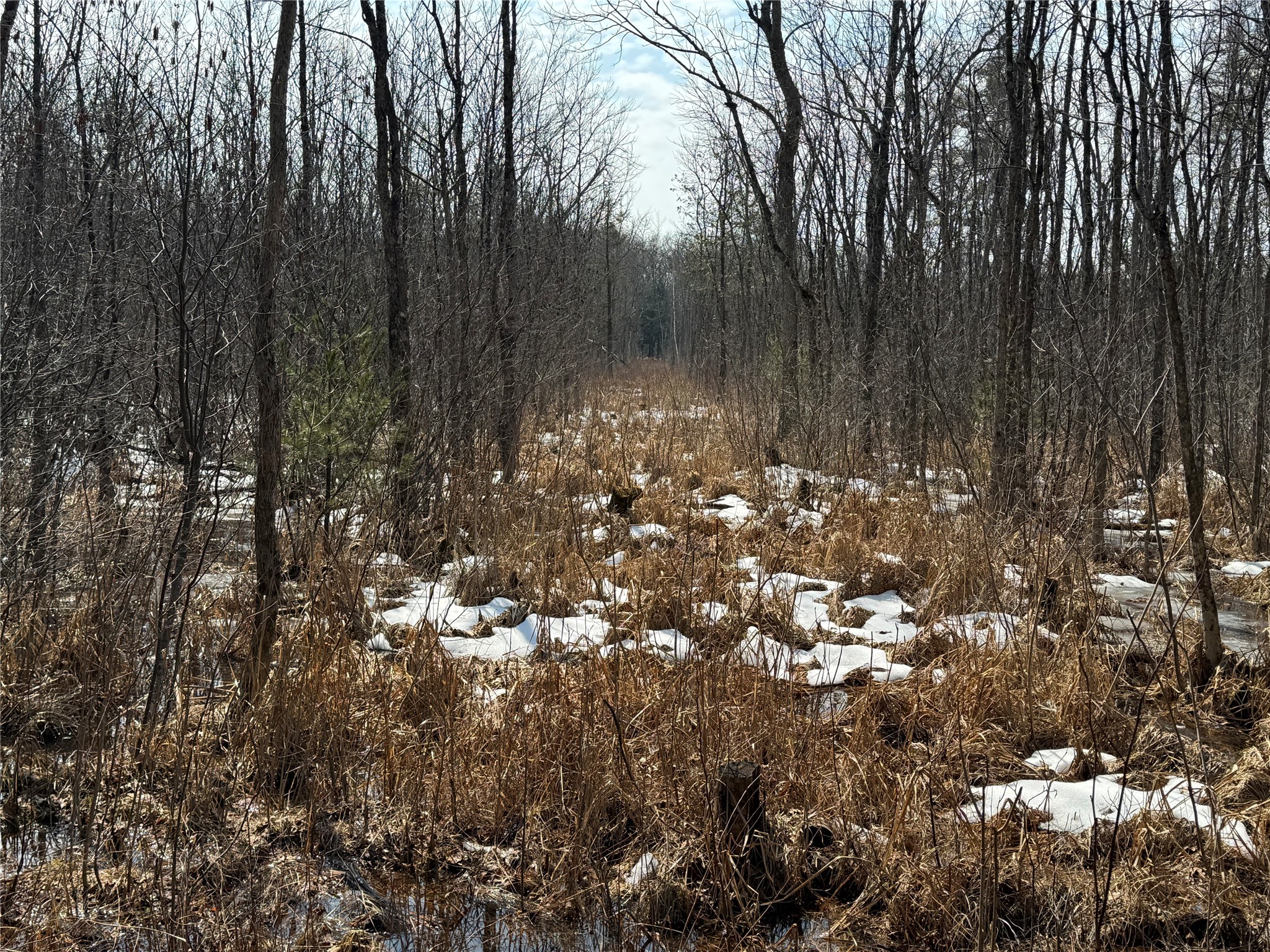 Ooo Lake Road Clintonville, WI 54929 - Photo 22 of 36