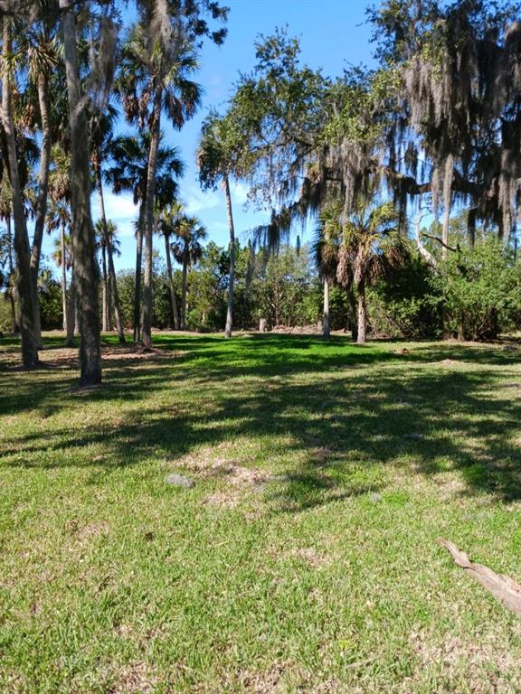 5353 Tropical Woods Court Port Richey, FL 34668 - Photo 2 of 6