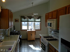 8067 Munson Road Mentor, OH 44060 - Photo 8 of 25 Gallery Image 8