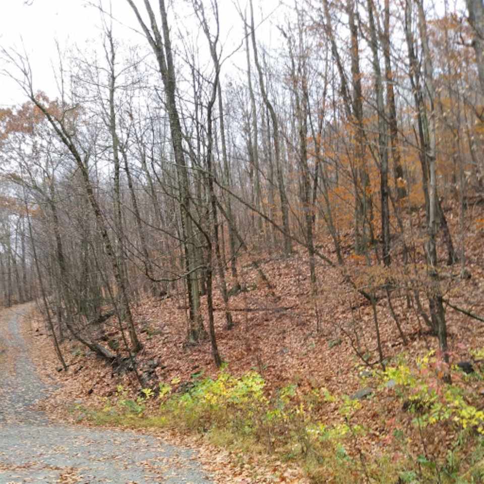 0 Southeast Corners Road, Unit REITH LOT Sandgate, VT 05250 - Photo 1 of 1 Gallery Image 1