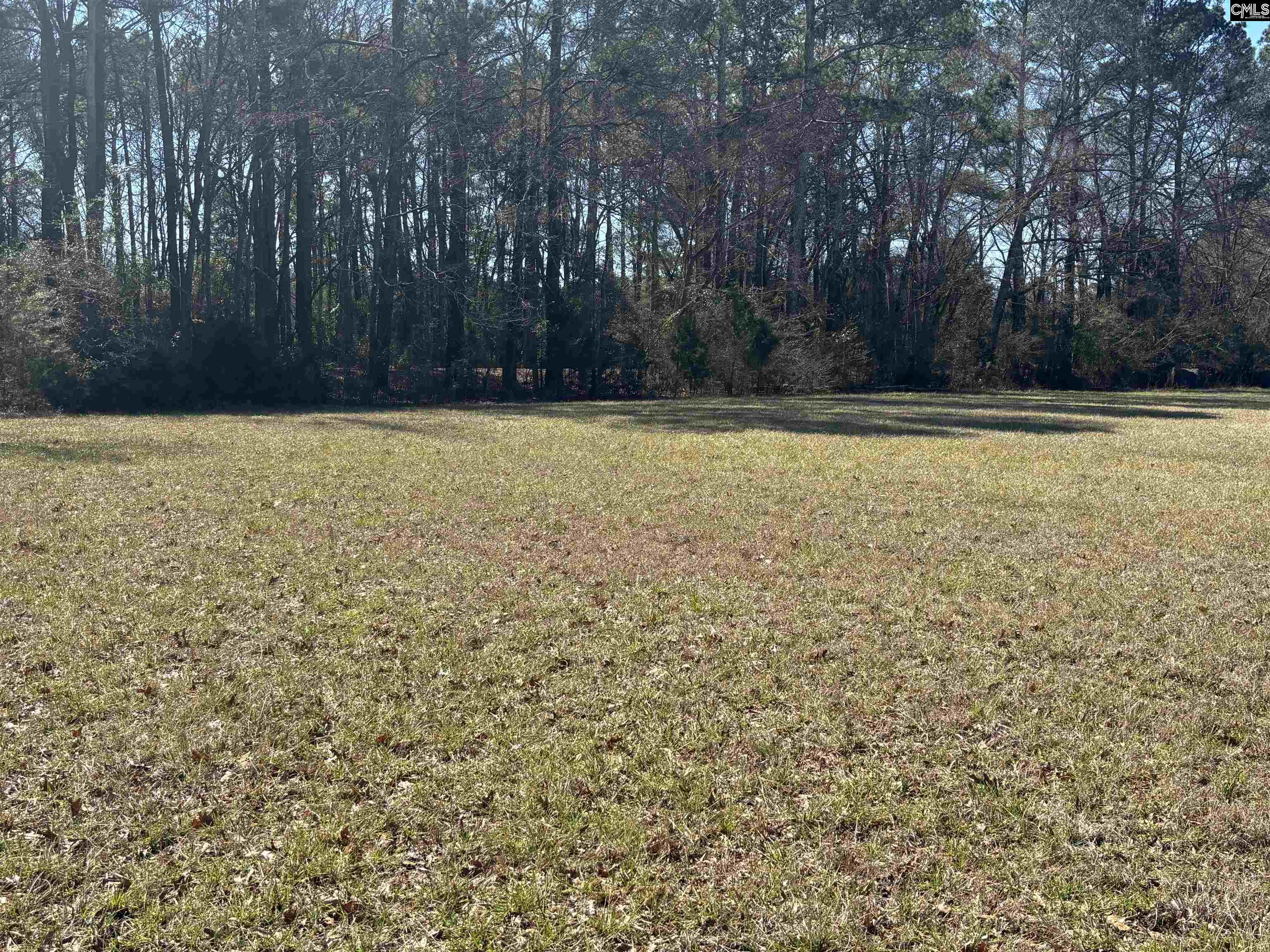 0 Bethany Road Saluda, SC 29138 - Photo 8 of 24