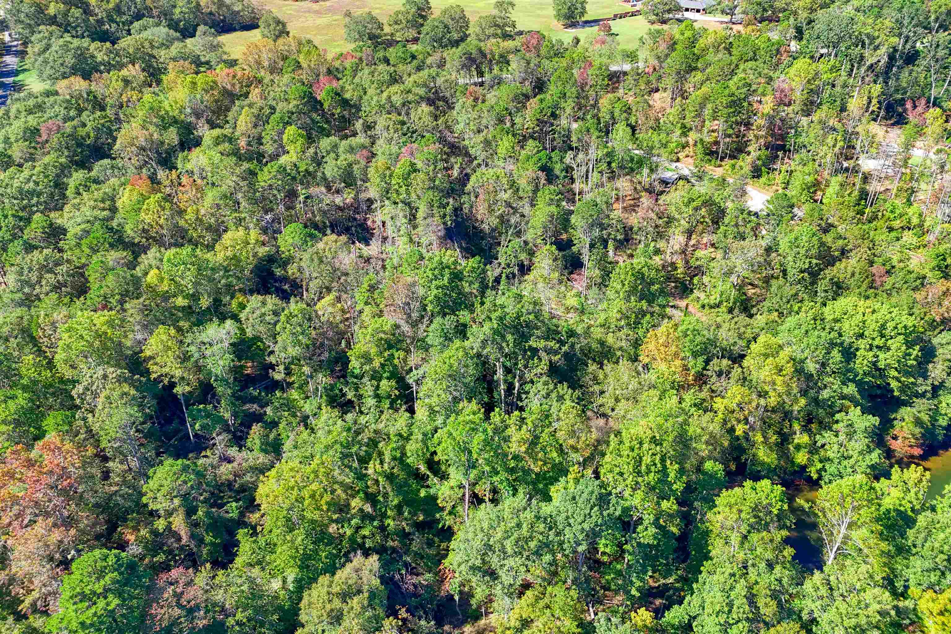 2741 Sandy Ford Road Chesnee, SC 29323 - Photo 12 of 33