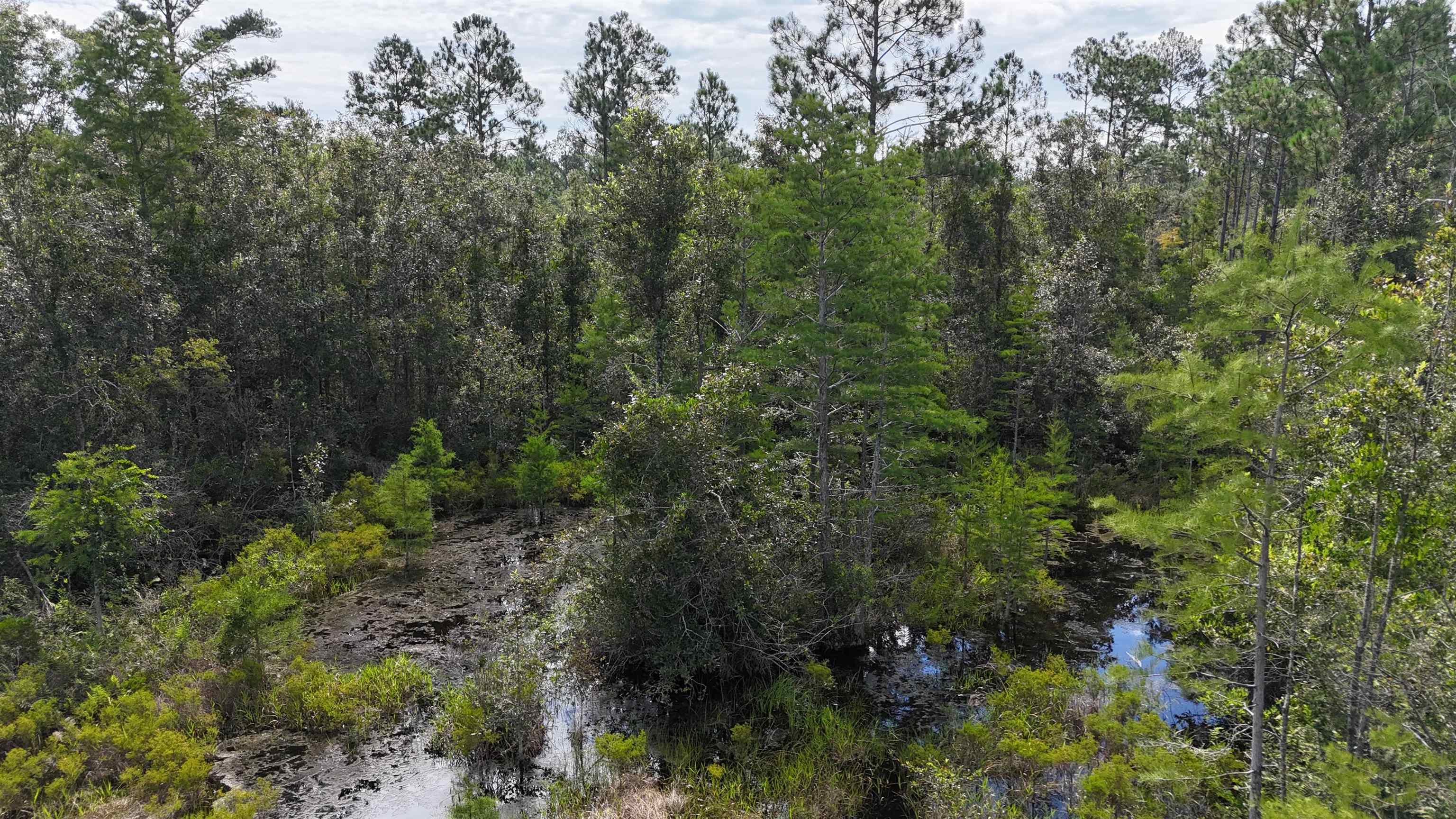 1400 Southwest Townsend Road Madison, FL 32340 - Photo 15 of 22 Gallery Image 15
