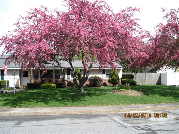 206 Temi Road Bellingham, MA 02019 - Photo 27 of 27 Gallery Image 27