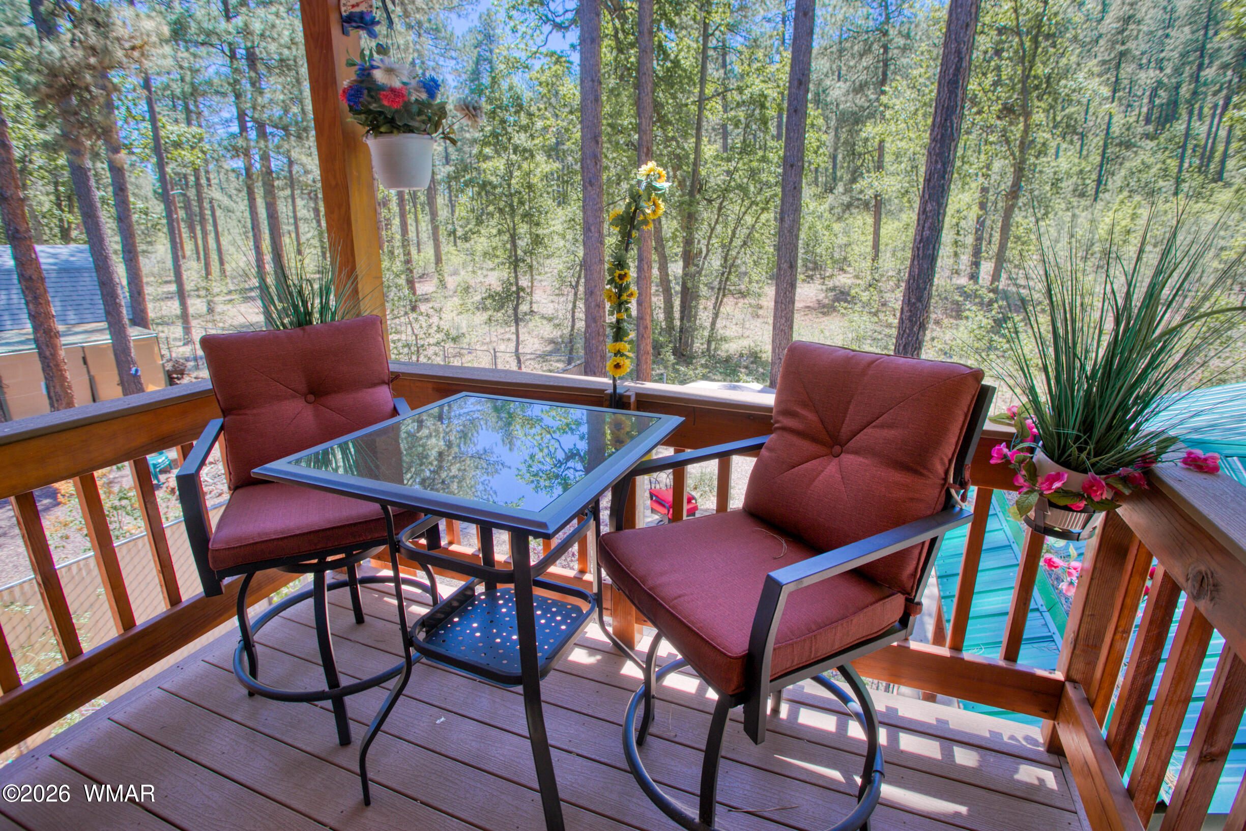 1669 East Rim Road Pinetop, AZ 85935 - Photo 29 of 30