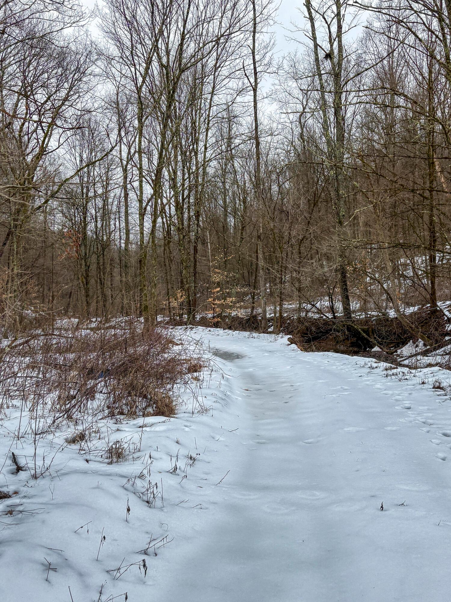 4 Twp Road Woodsfield, OH 43793 - Photo 8 of 31 Tract 4_TD-13