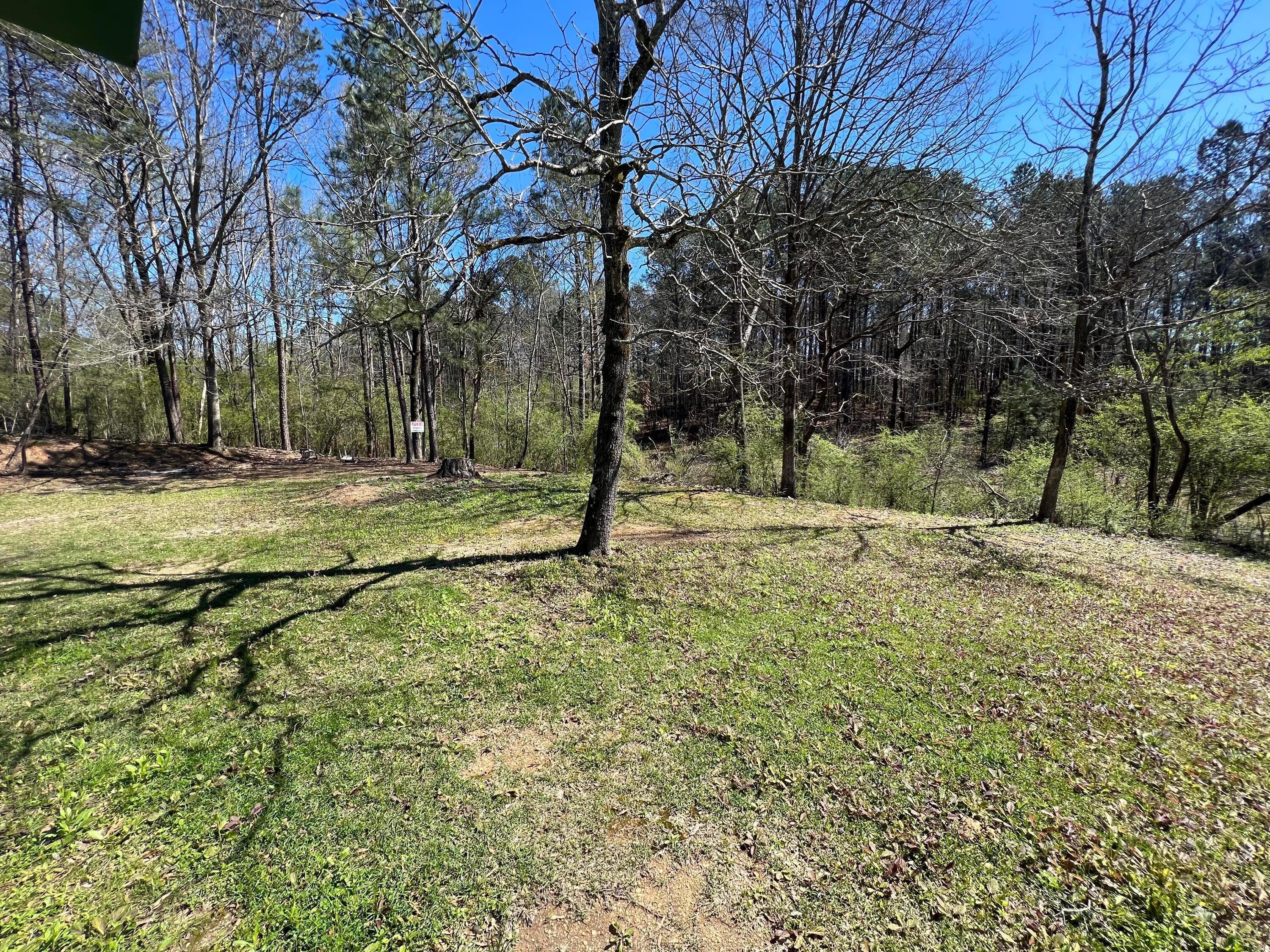 303 Union Chapel Loop Road Cordova, AL 35550 - Photo 14 of 14 Gallery Image 14