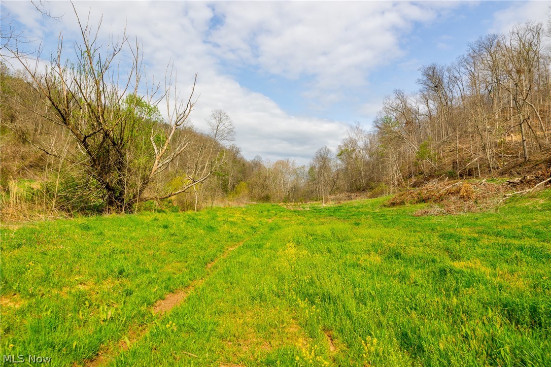 0 Twp Road, Unit 3 Whipple, OH 45788 - Photo 4 of 11