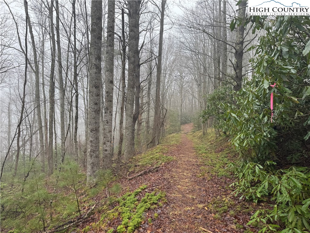 a view of backyard with green space
