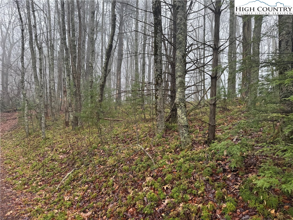 Rainbow Mountain Road Boone, NC 28607 - Photo 11 of 14