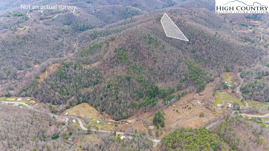 Rainbow Mountain Road Boone, NC 28607 - Photo 2 of 14 a view of a dry yard with trees and stairs