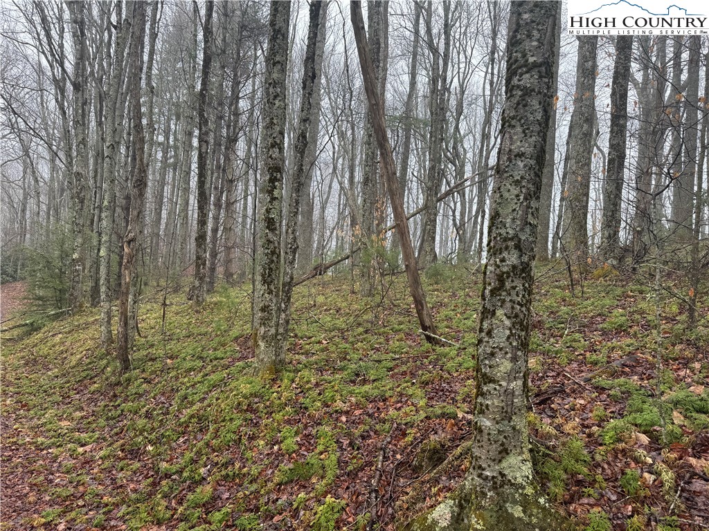 Rainbow Mountain Road Boone, NC 28607 - Photo 5 of 14