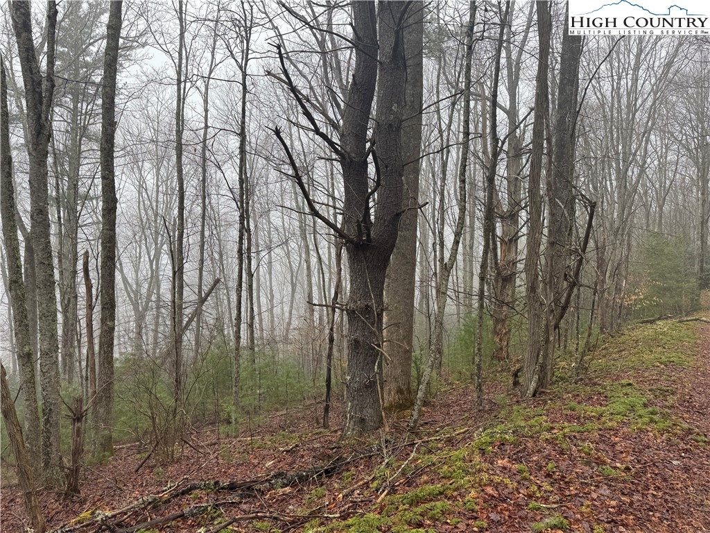Rainbow Mountain Road Boone, NC 28607 - Photo 6 of 14 a backyard of a house with lots of green space