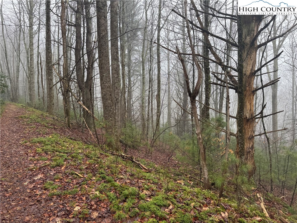 Rainbow Mountain Road Boone, NC 28607 - Photo 8 of 14 a backyard of a house with lots of green space