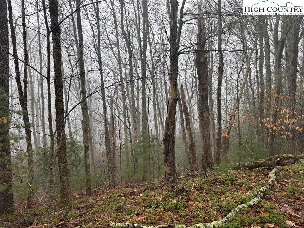Rainbow Mountain Road Boone, NC 28607 - Photo 9 of 14 a view of a backyard of a house