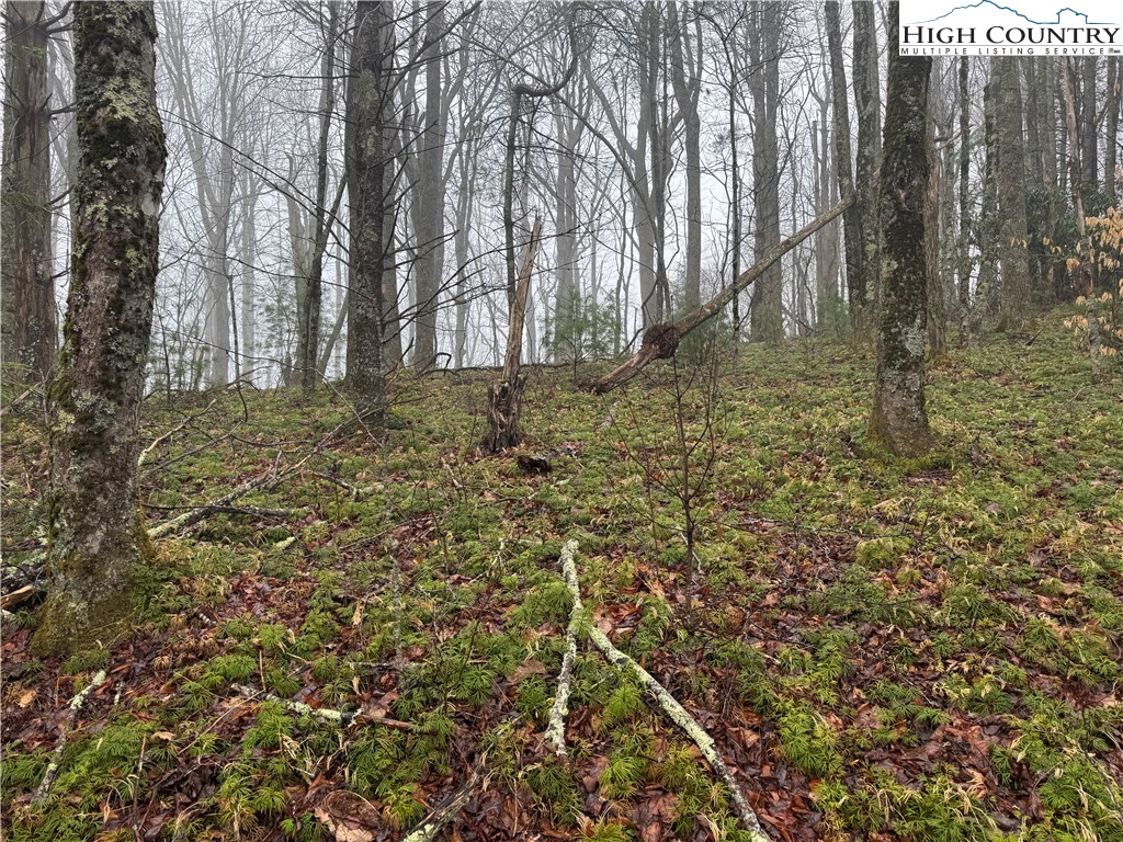 Rainbow Mountain Road Boone, NC 28607 - Photo 10 of 14 a backyard of a house with lots of green space