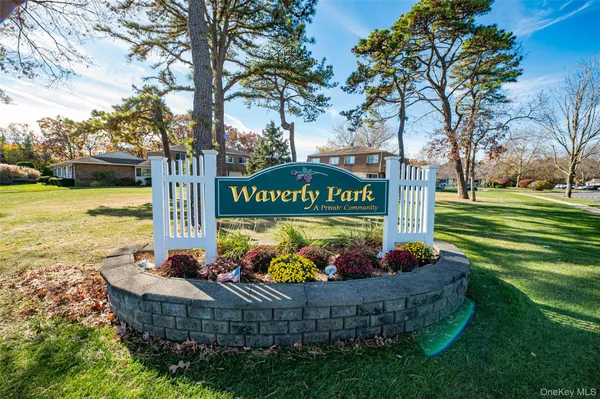 a view of a park with plants and trees