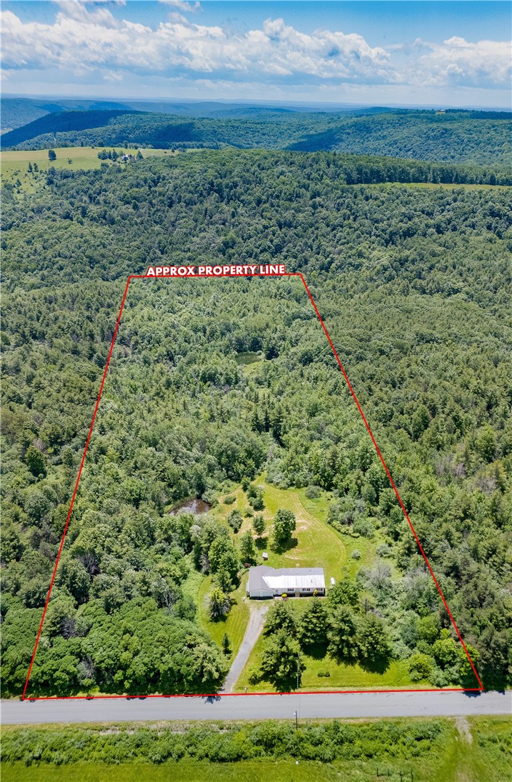1970 Hornby Road Orange, NY 14812 - Photo 13 of 38