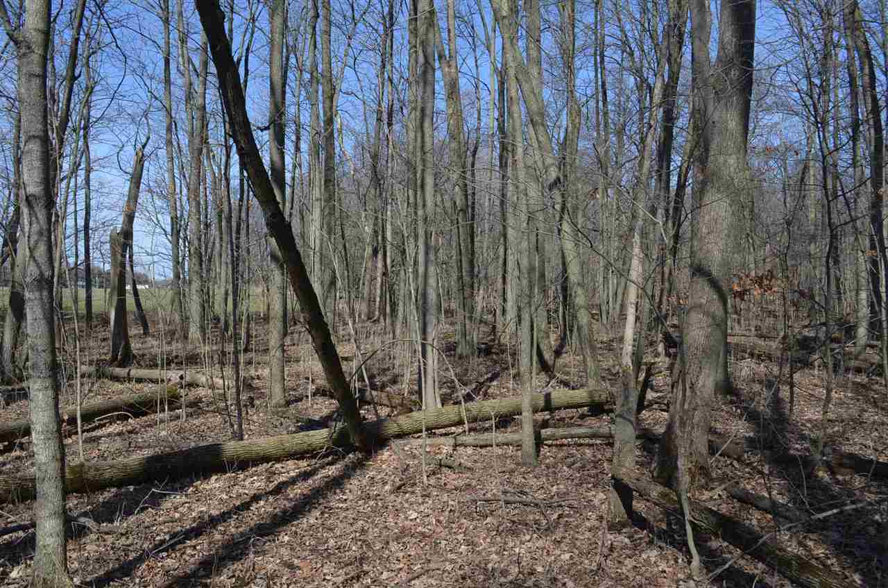 0 Co Road Auburn, IN 46706 - Photo 15 of 16 Gallery Image 15