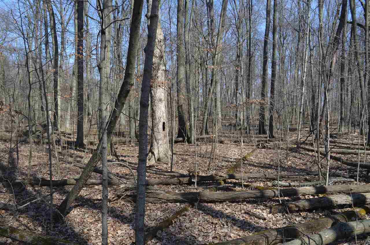 0 Co Road Auburn, IN 46706 - Photo 16 of 16 Gallery Image 16