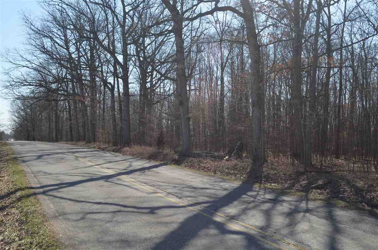 0 Co Road Auburn, IN 46706 - Photo 3 of 16 Gallery Image 3