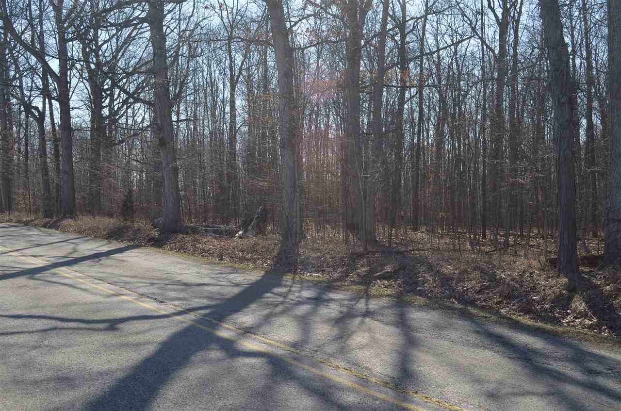0 Co Road Auburn, IN 46706 - Photo 4 of 16 Gallery Image 4