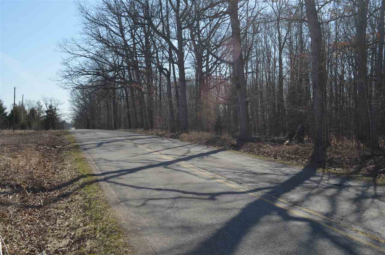 0 Co Road Auburn, IN 46706 - Photo 5 of 16 Gallery Image 5