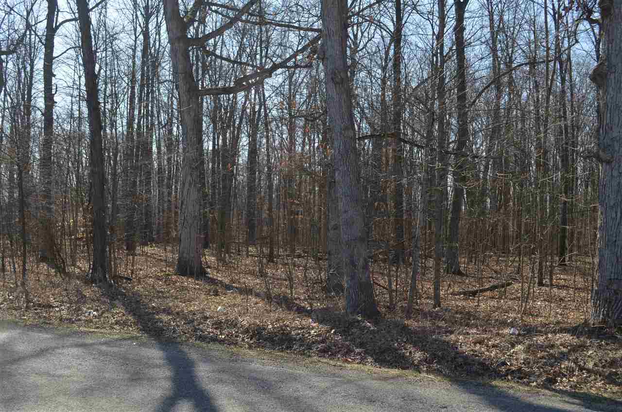 0 Co Road Auburn, IN 46706 - Photo 6 of 16 Gallery Image 6
