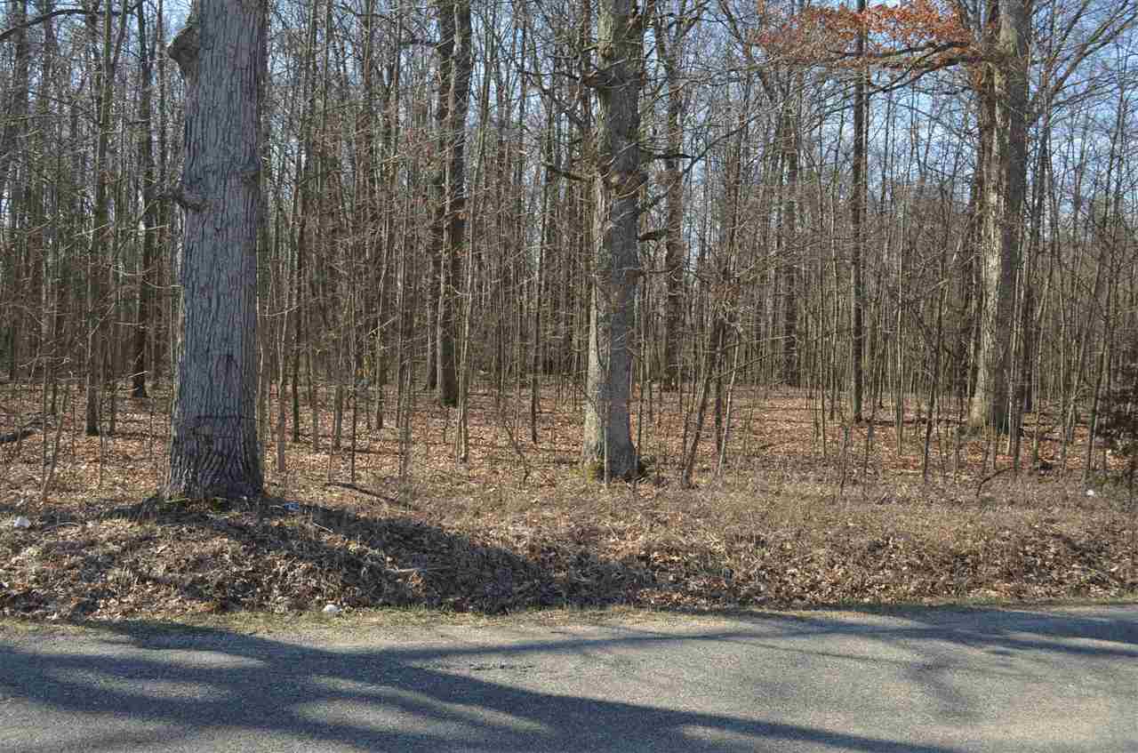 0 Co Road Auburn, IN 46706 - Photo 7 of 16 Gallery Image 7