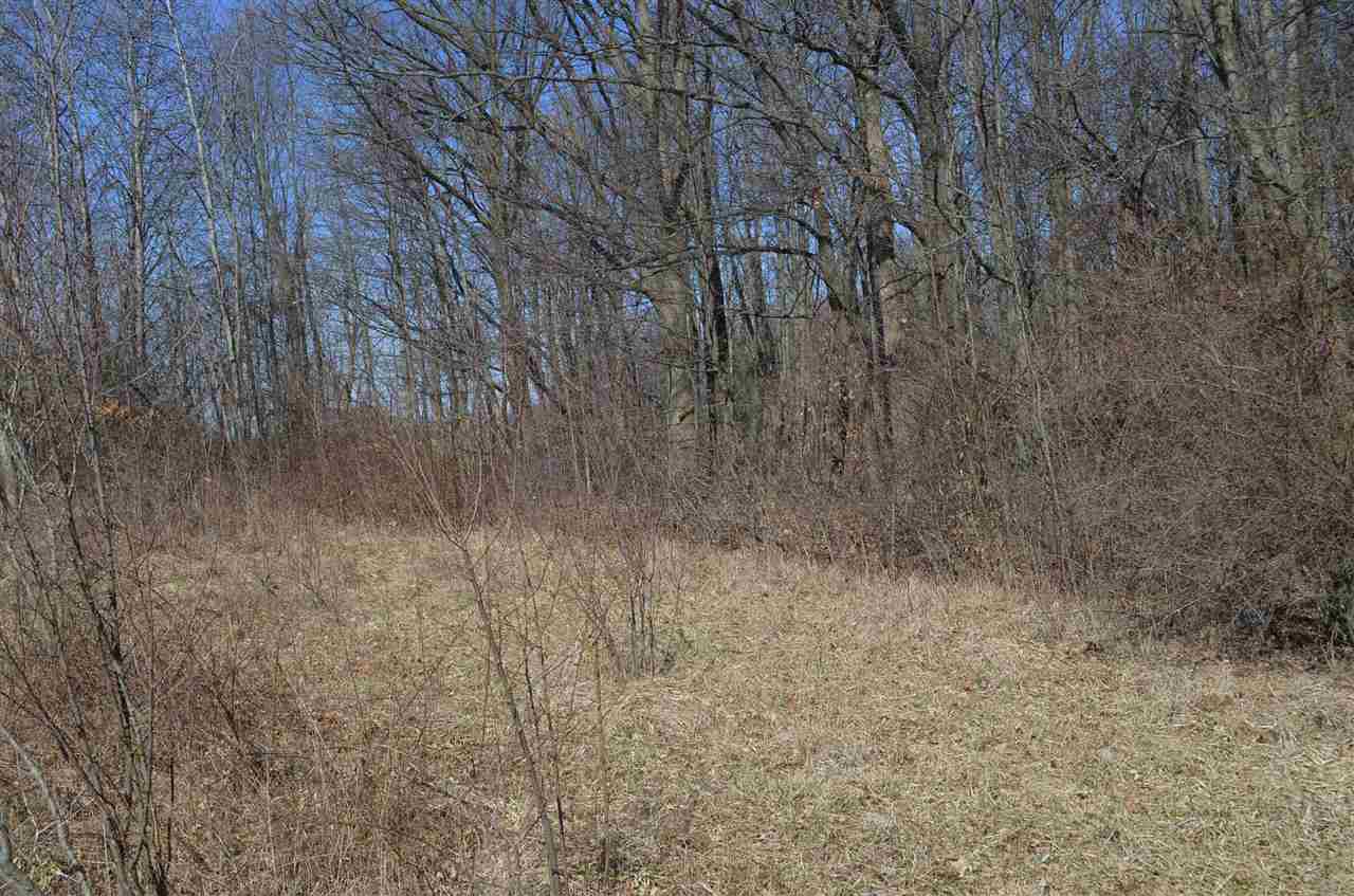 0 Co Road Auburn, IN 46706 - Photo 8 of 16 Gallery Image 8