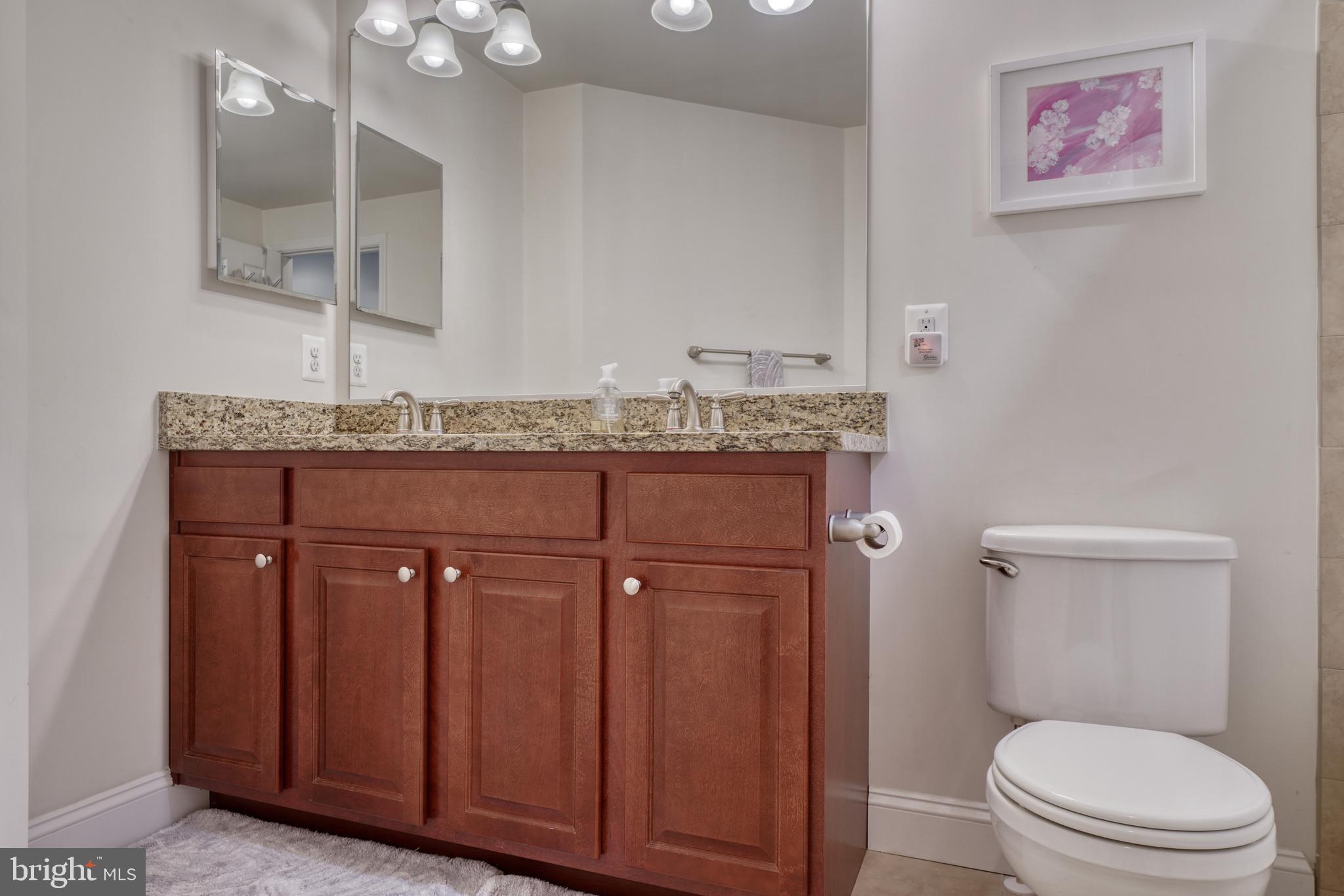 1818 Byrd Street Baltimore, MD 21230 - Photo 32 of 48 a bathroom with a granite countertop toilet a sink and a mirror