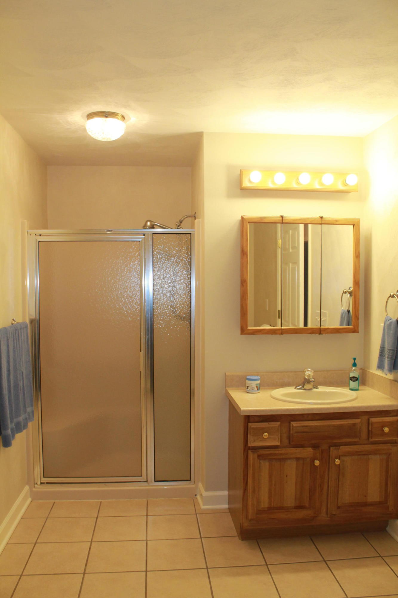 4011 Flatwoods Road Elliston, VA 24087 - Photo 22 of 30 a bathroom with a granite countertop sink and a mirror
