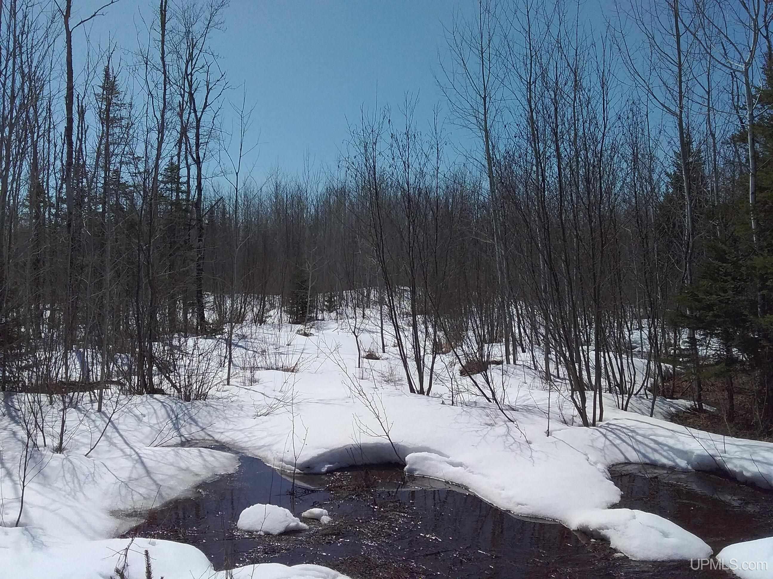 V25 Rd Trenary Mi 49891 Road Rapid River, MI 49878 - Photo 5 of 28