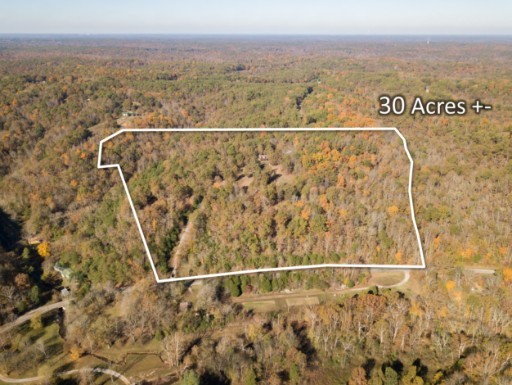 7327 Brush Creek Road Fairview, TN 37062 - Photo 20 of 23