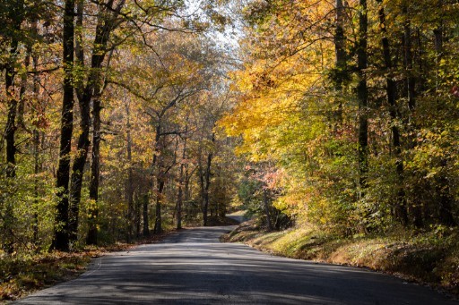 7327 Brush Creek Road Fairview, TN 37062 - Photo 3 of 23
