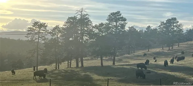 $1,200,000 | 25924 Gateway Drive, Golden, CO 80401