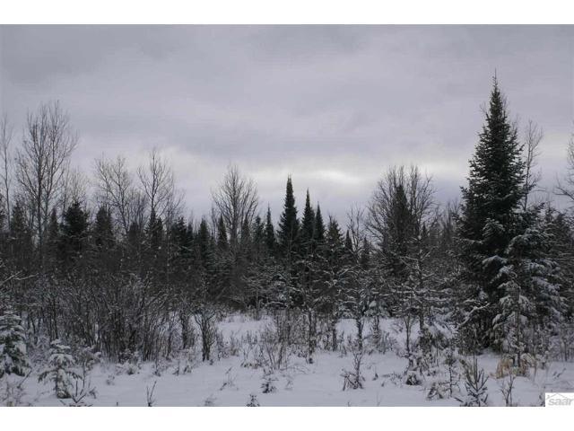 Xxxx Froney Road Port Wing, WI 54865 - Photo 1 of 4