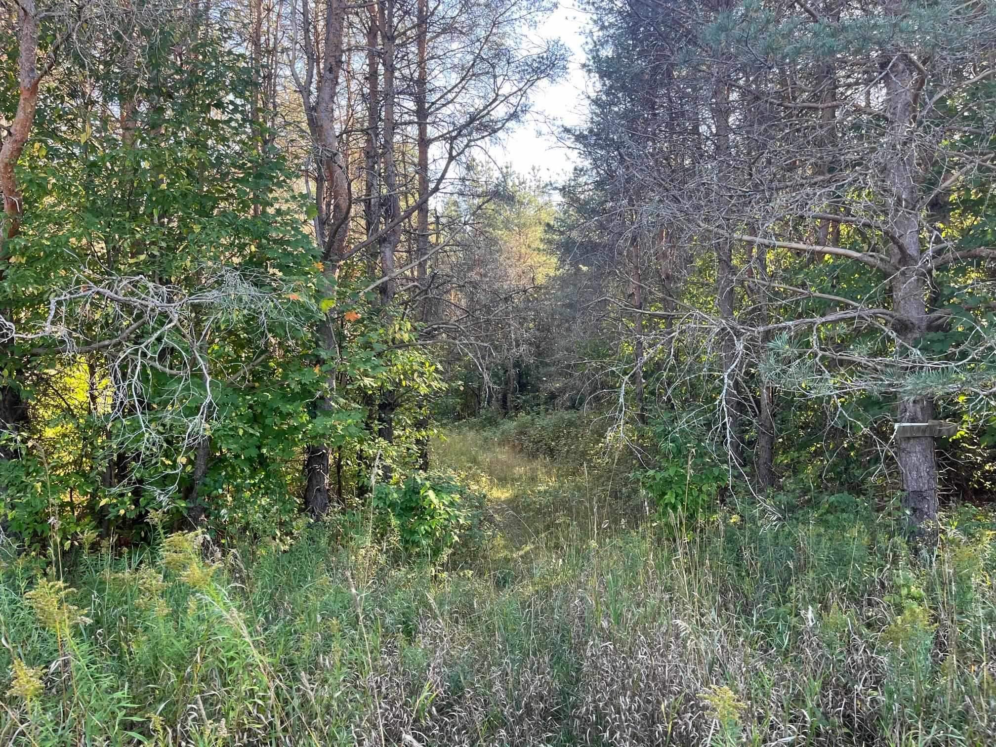 0 West 4 Road Buckley, MI 49620 - Photo 2 of 10