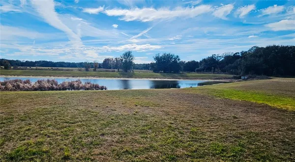 $2,000 | 3112 Forrest Plum Court, Zephyrhills, FL 33540