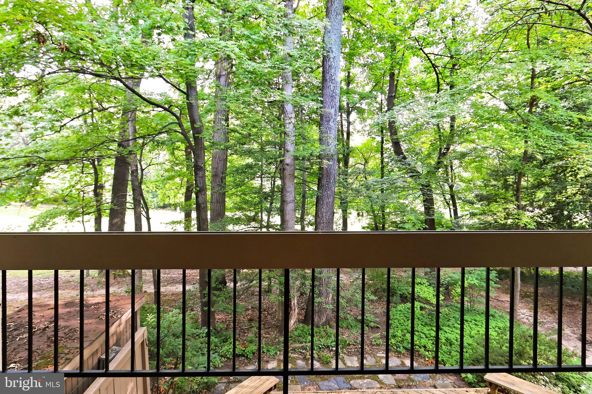 11704 Newbridge Court Reston, VA 20191 - Photo 17 of 64 View from Living Room deck