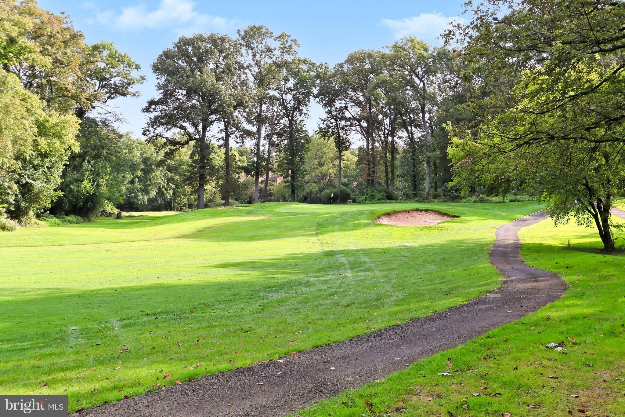 11704 Newbridge Court Reston, VA 20191 - Photo 39 of 64 View of the 10th green