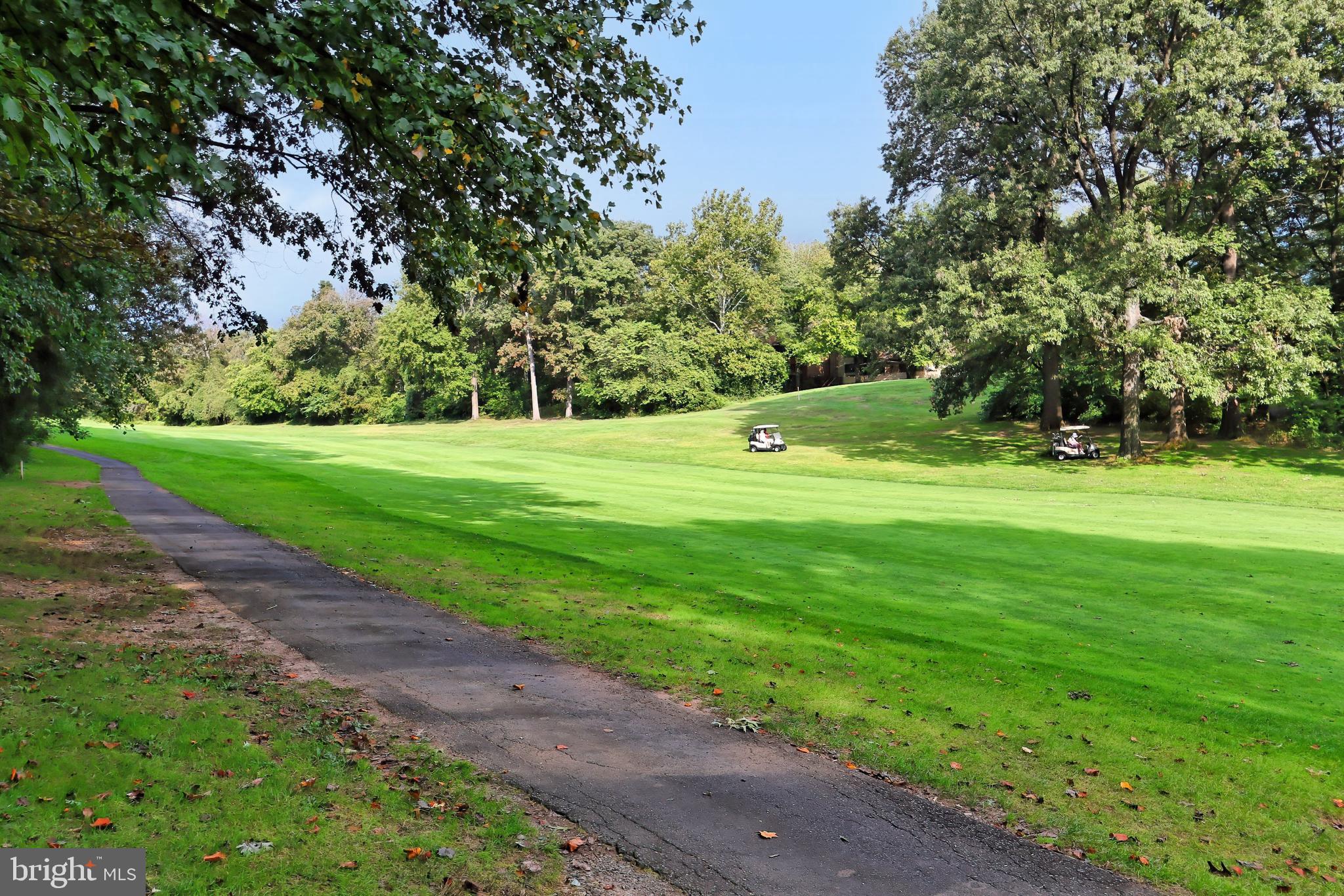 11704 Newbridge Court Reston, VA 20191 - Photo 40 of 64 Golf course view!