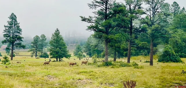 $1,374,000 | 375 Mariposa Drive, Pagosa Springs, CO 81147