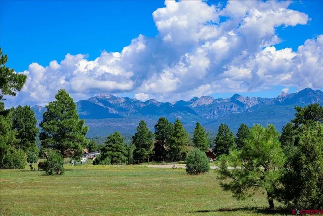 a view of a green field