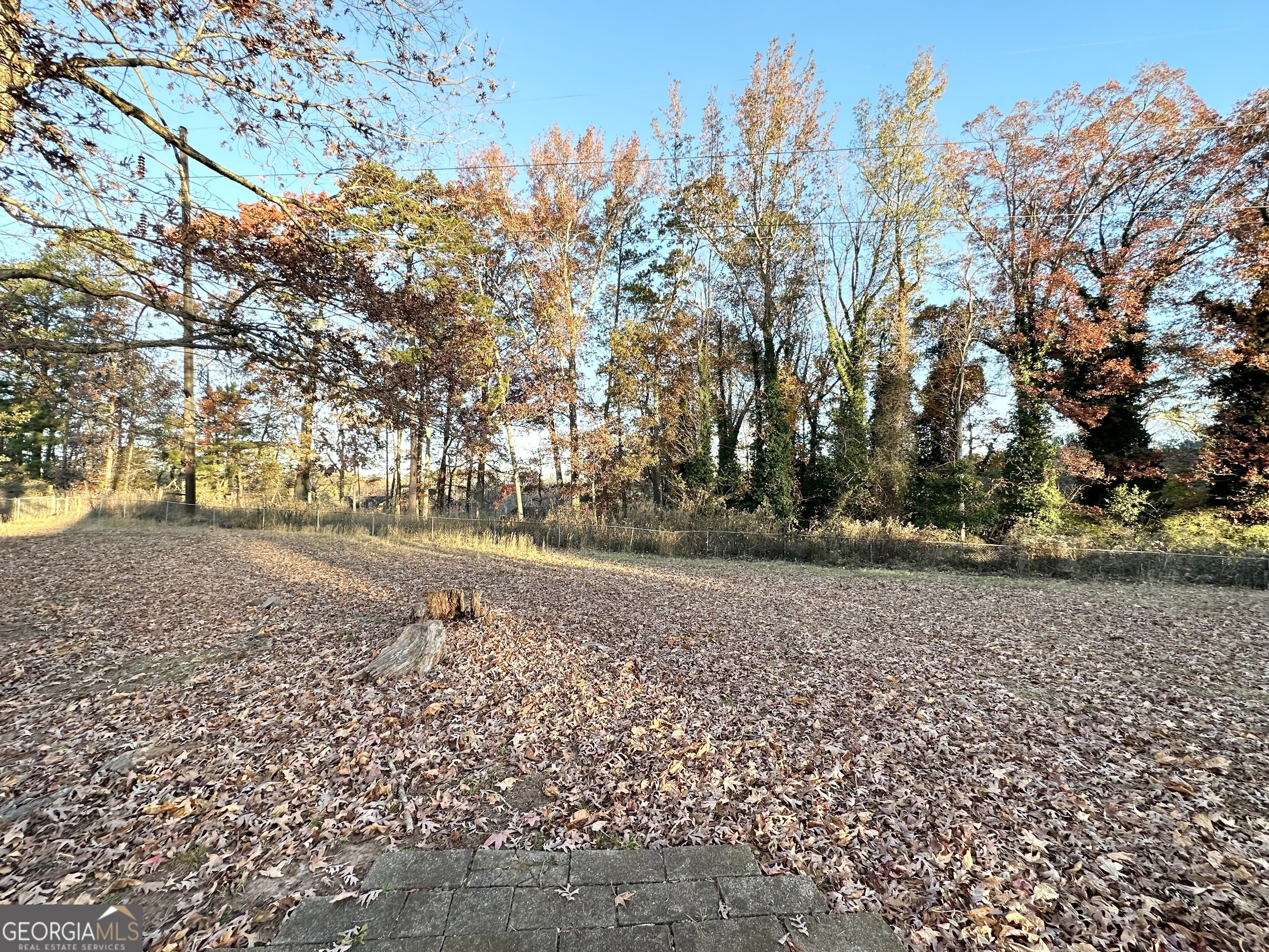 2852 Port Royal Lane Decatur, GA 30034 - Photo 17 of 18 a view of dirt yard with a large tree