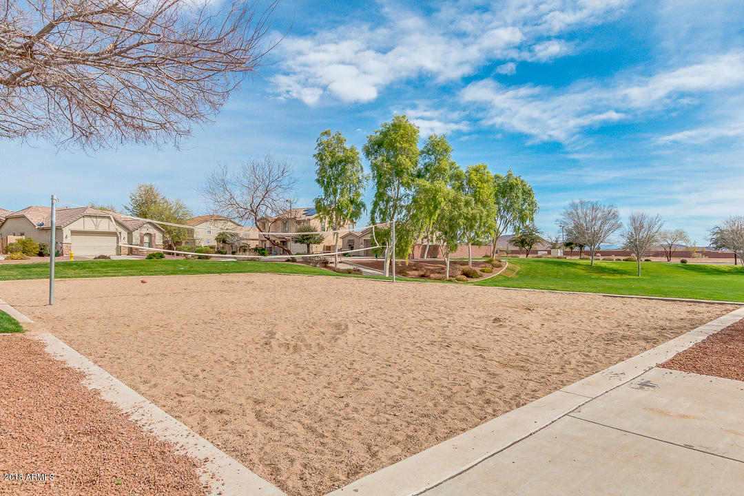 17634 West Red Bird Road Surprise, AZ 85387 - Photo 36 of 44 Community Volleyball