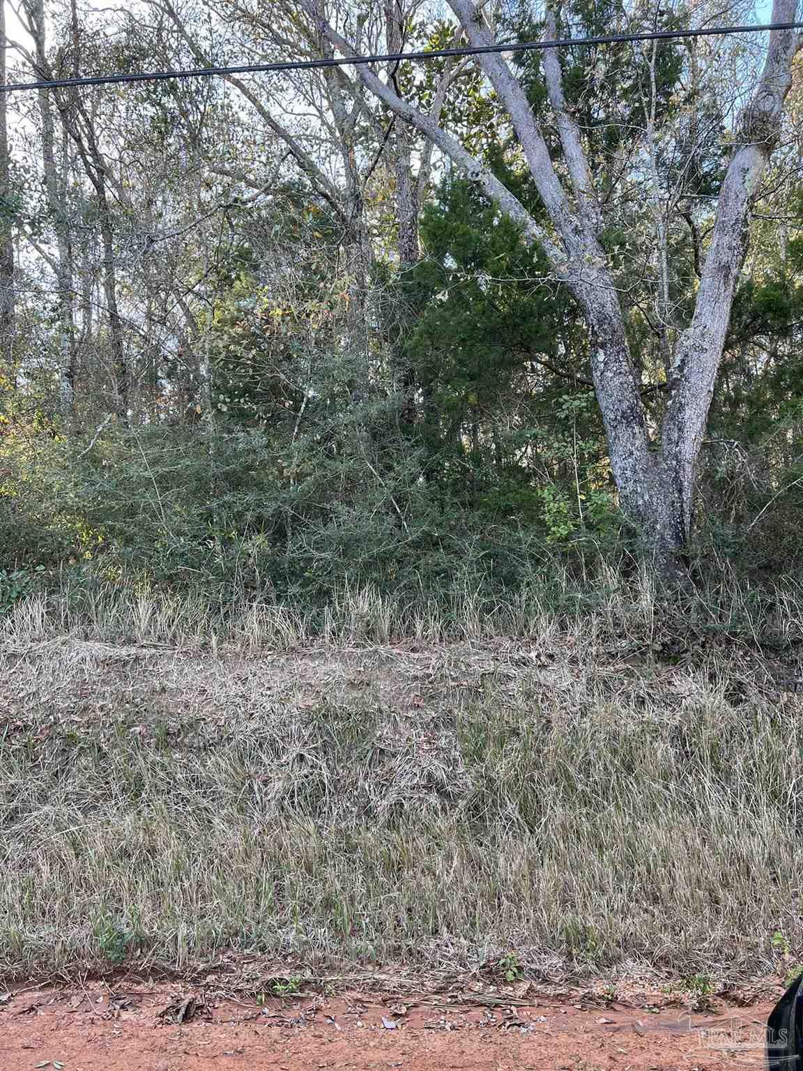 550 Jacks Branch Road Cantonment, FL 32533 - Photo 4 of 5