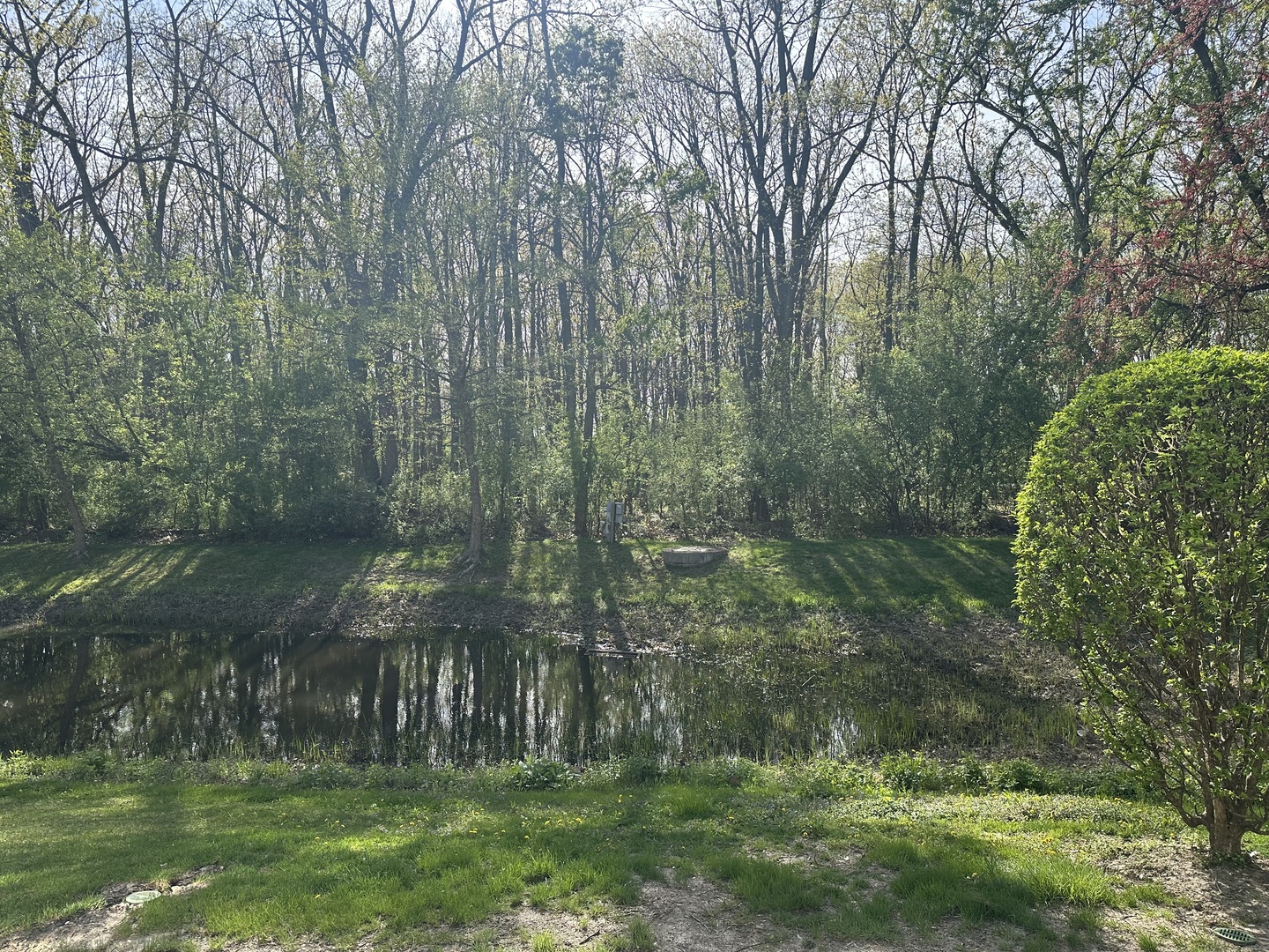 172 East River Road, Unit R Des Plaines, IL 60016 - Photo 35 of 35